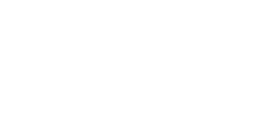 IFS_Logo_White