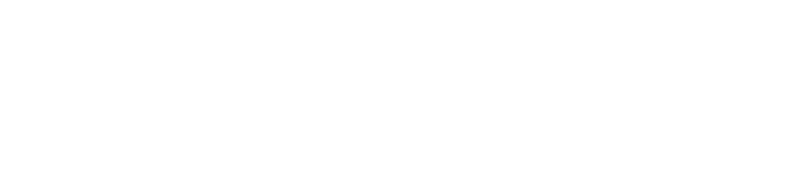 Prophix_Logo_White